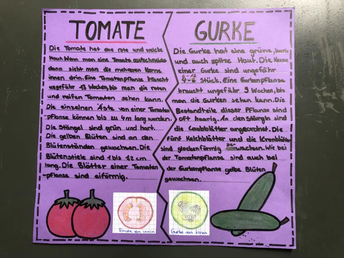 Ackerpflanzen im Portr&auml;t &ndash; Klasse 5b gestaltet Plakate