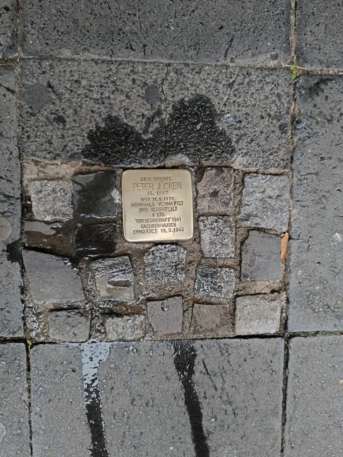 Gegen das Vergessen &ndash; Projektkurs reinigt Stolpersteine in Krefeld