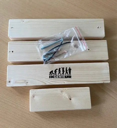 InGENIEur