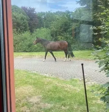 Lernweh statt Fernweh
