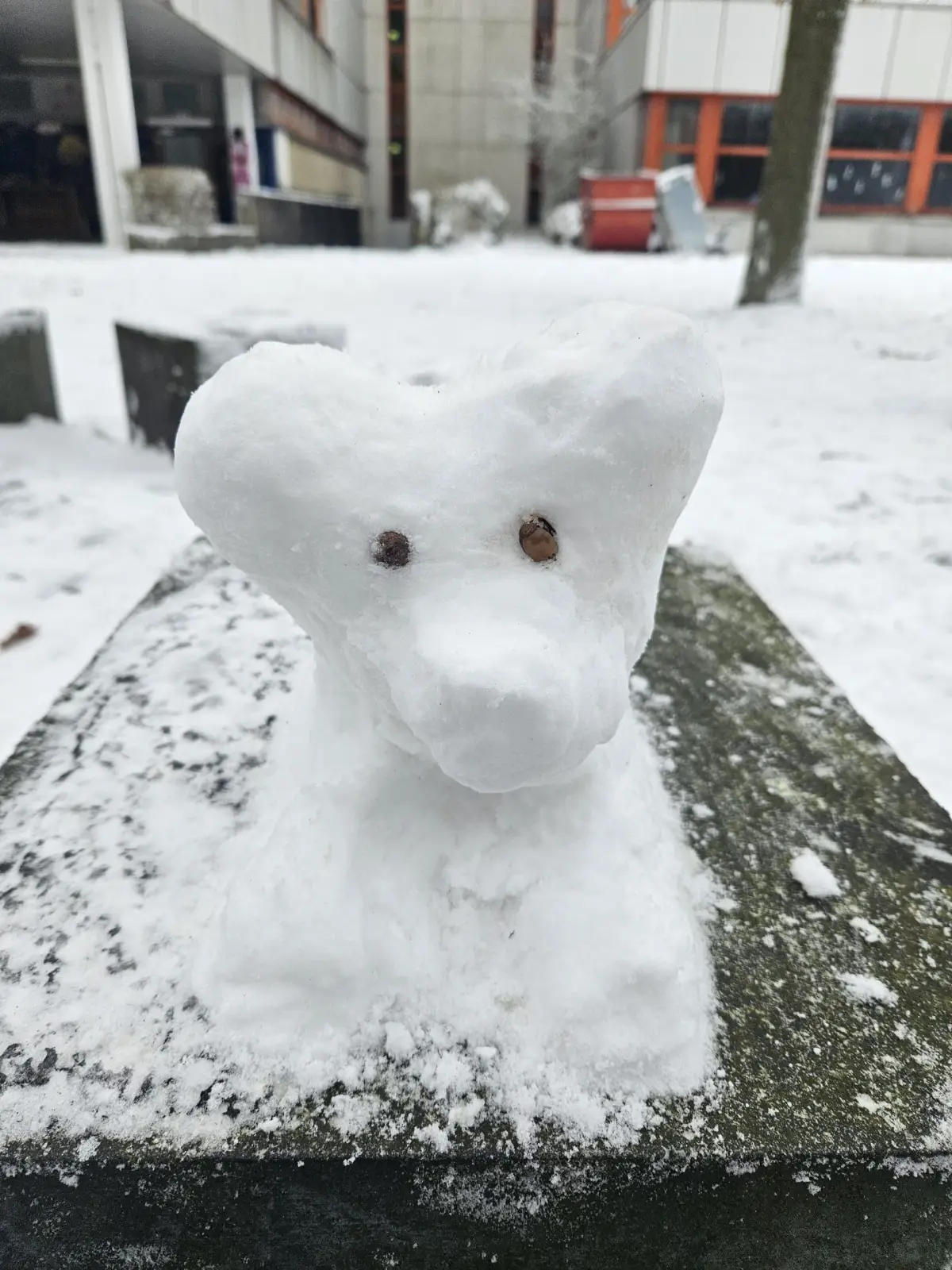 (Schnee-) Hunde