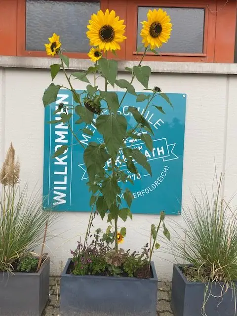 Schöne Herbstferien! Kommt gesund wieder!