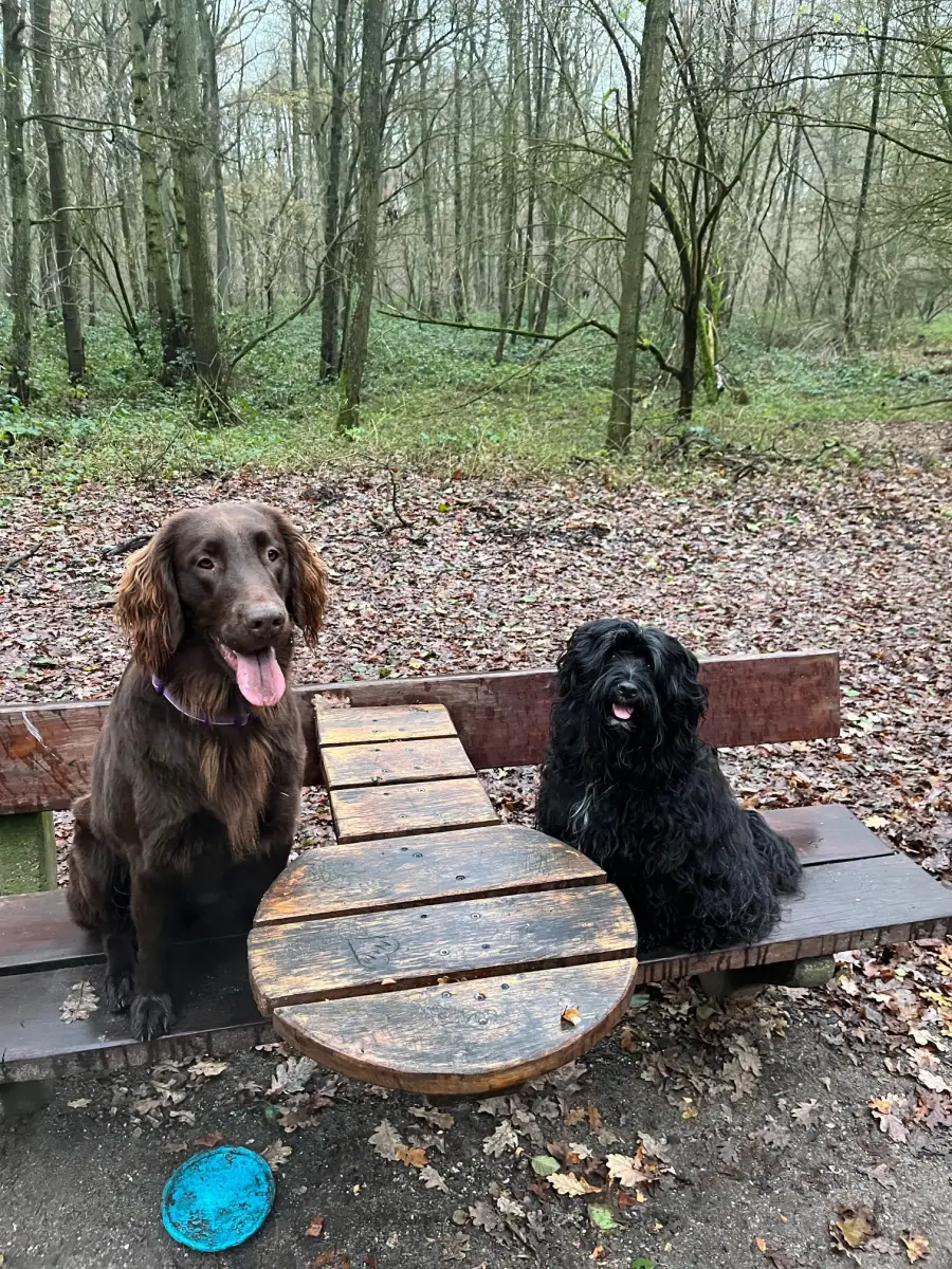 Wir haben Nachwuchs: Hazel und U-ta-ka