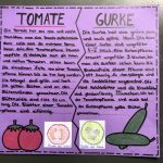 Ackerpflanzen im Porträt – Klasse 5b gestaltet Plakate