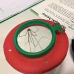 Nervenkitzel und Gänsehaut am Halloweentag im Biounterricht