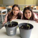 „Interessiert mich nicht die Bohne…?“ Beim bio!logisch-Wettbewerb beweisen unsere Fünftklässler das Gegenteil!